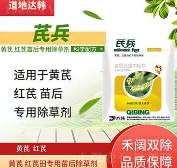 �S�μt�γ��݄�-�S�μt