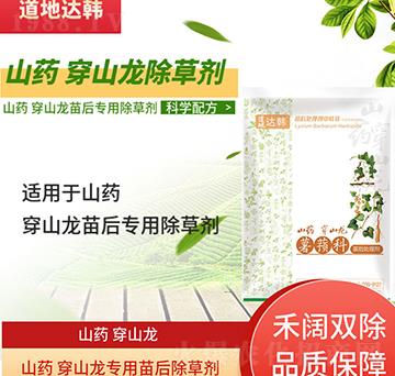 ɽˎ��ɽ�����݄�-ɽˎ