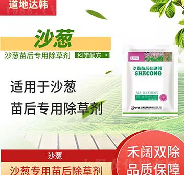 ɳ�[���݄�-ɳ�[���-