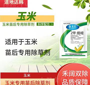 ���׳��݄�-�������-