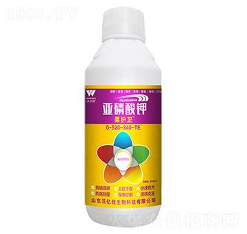 �������0-520-340+TE-���o�l(w��i)-�֠���(y��u)