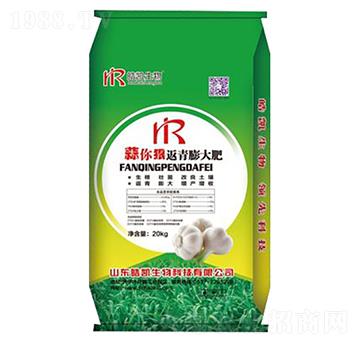 ����ݷ�������-�P����