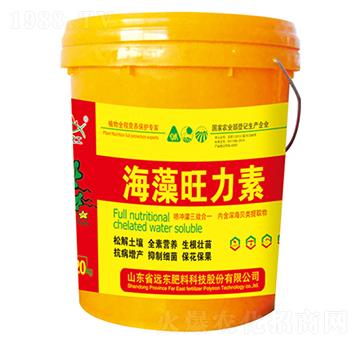 ����������-�h(yu��n)�|����