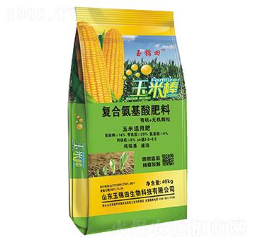 玉米適用復合氨基酸肥料-玉米棒-玉錦田