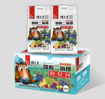 ��������00-52-34-���l(w��i)��-������