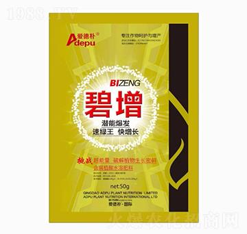 ����-�۵�