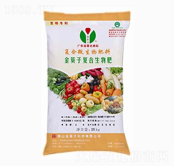 �ͺ��������-�����