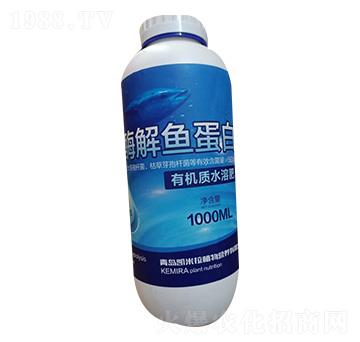 ø���~����-�P����