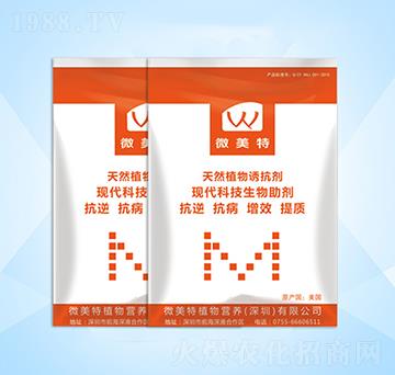 ��Ȼֲ���T����-΢����