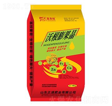 40kg�ָ������-ϲ�r(n��ng)��-��Դ�ʘI(y��)