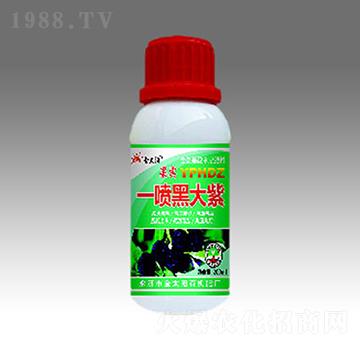 一噴黑大紫-金太陽(yáng)肥業(yè)