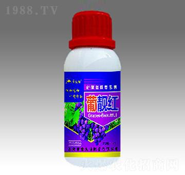 葡靚紅-金太陽(yáng)肥業(yè)