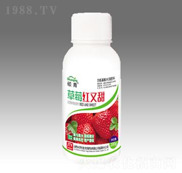 草莓紅又甜（瓶）-金太陽(yáng)肥業(yè)