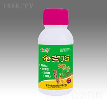 金當(dāng)歸-金太陽(yáng)肥業(yè)