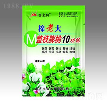 棉老大整枝膨桃10功能-金太陽(yáng)肥業(yè)
