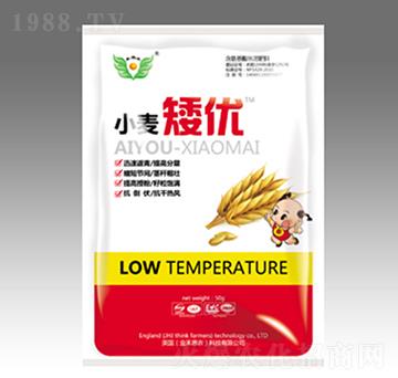 小麥矮優(yōu)-金太陽(yáng)肥業(yè)