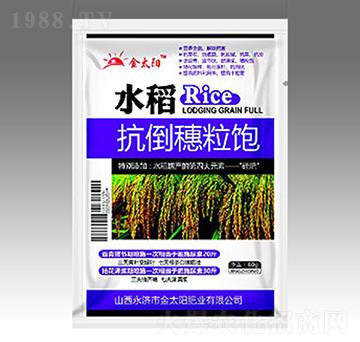 水稻抗倒穗粒飽-金太陽(yáng)肥業(yè)