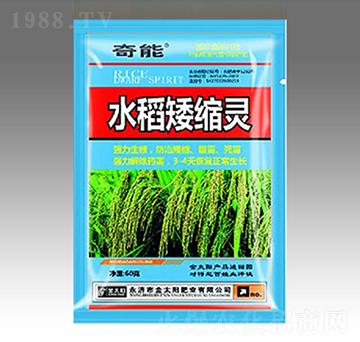 水稻矮縮靈-金太陽(yáng)肥業(yè)