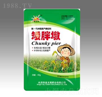 矮胖墩-金太陽(yáng)肥業(yè)