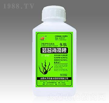 蕓苔海藻根-金太陽(yáng)肥業(yè)