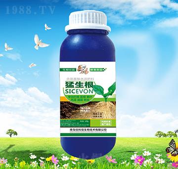 猛生根-碧野農(nóng)化