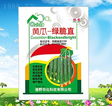 黃瓜綠脆直-植圣-碧野農(nóng)化