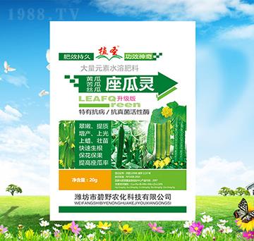 座瓜靈-植圣-碧野農(nóng)化