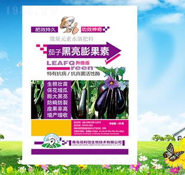 茄子黑亮膨果素-碧野農(nóng)化