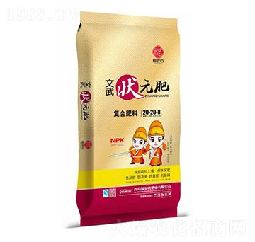 �ͺϷ���20-20-8-�����Ԫ��-���r(n��ng)��ʢ