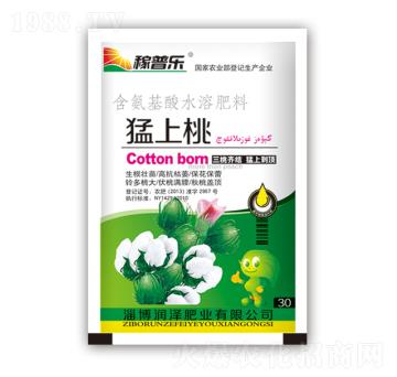 猛上桃-潤澤肥業(yè)