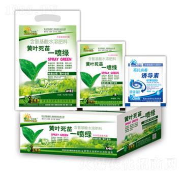 黃葉死苗一噴綠-潤澤肥業(yè)
