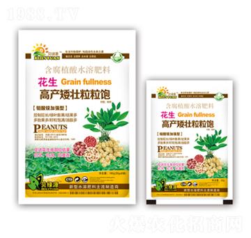 花生高產(chǎn)矮壯粒粒飽-潤澤肥業(yè)