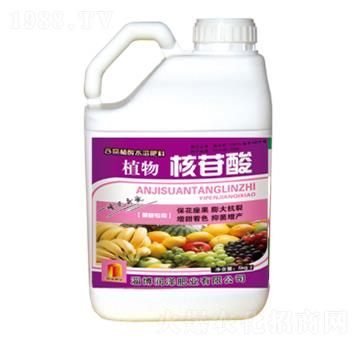 植物核苷酸-潤澤肥業(yè)