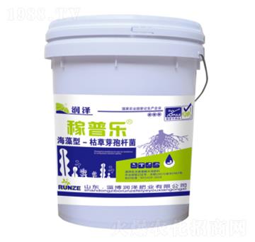 海藻型枯草芽孢桿菌-稼普樂-潤澤肥業(yè)