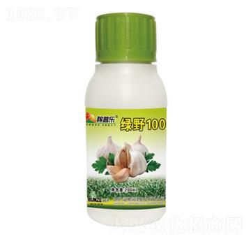 大蒜專用葉面肥-綠野100-潤澤肥業(yè)