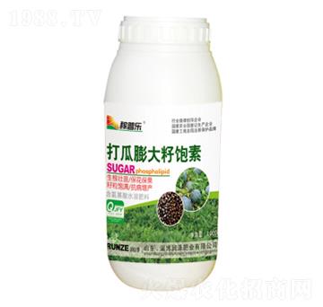 打瓜膨大籽飽素-稼普樂-潤澤肥業(yè)