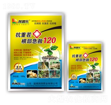 抗重茬根部急救120-稼普樂-潤澤肥業(yè)