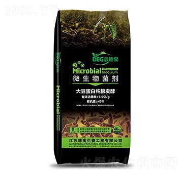 5�|��΢�������-�ε¸�-�¸�����