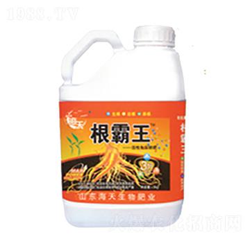 5公斤根霸王-海天生物