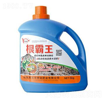 高活性海藻素水溶肥-根霸王譽達肥業(yè)