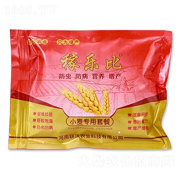 С�������ײͣ����x�棩-�ژ�(l��)��-(li��n)���r(n��ng)�I(y��)