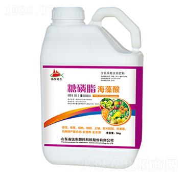 ����֬������-�h(yu��n)�|����