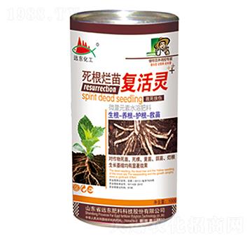 ���������(f��)���`-�h(yu��n)�|����