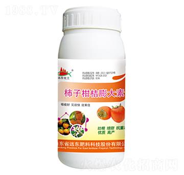 ���Ӹ̽������-�h(yu��n)�|����