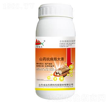 ɽˎ���������-�h(yu��n)�|����