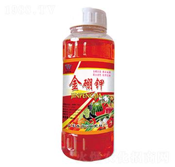 �����-�h(yu��n)�|����