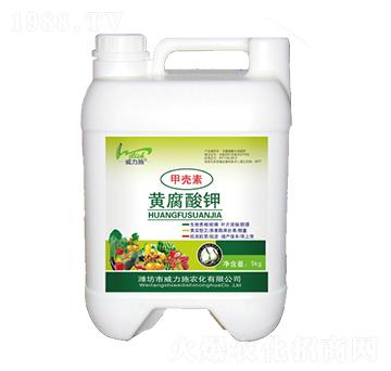 �ך����S�����-����ʩ