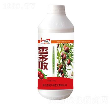 1000g���S��-����ʩ