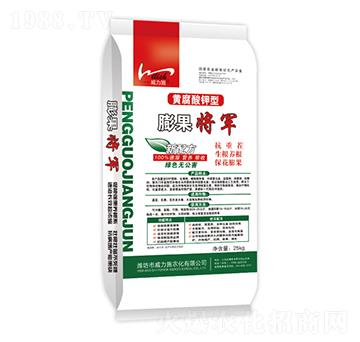 �����܊-����ʩ