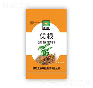 ��(y��u)������ֲ��⛣�-����ʩ